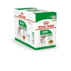 Best ROYAL CANIN Aliment humide pour chien Mini Adult. Les 12 sachets x 85 g