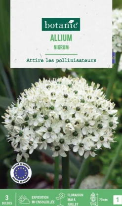 Sale BOTANIC® Allium Nigrum en mélange - 3 bulbes