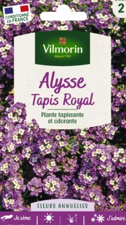 Online VILMORIN Alysse Tapis Royal - graines à semer