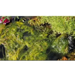 Best BLUE CORAL Anti-algues pour bassin direct, formule concentrée, OASE - 5L