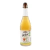 CÔTEAUX NANTAIS Apibul Nature Jus de Pommes pétillant Bio bouteille 75 cl