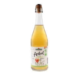 CÔTEAUX NANTAIS Apibul Nature Jus de Pommes pétillant Bio bouteille 75 cl