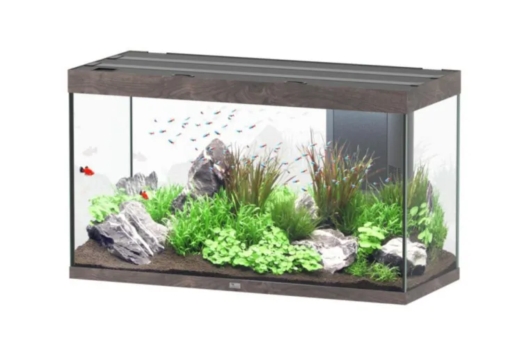 Sale AQUATLANTIS Aquarium coloris chêne foncé Sublime Ultra LED 2.0 333 L - 120 x 50 x 70 cm