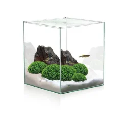 New CIANO Aquarium cuve nue Cube - 18L