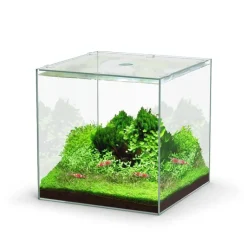 Hot AQUATLANTIS Aquarium cuve nue Kubus - 22L
