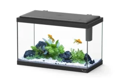 Discount AQUATLANTIS Aquarium d'eau froide et d'eau douce coloris noir Explorer Vienna 34 L - 35 x 50 x 25 cm