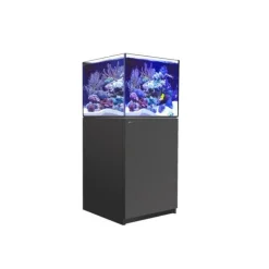 RED SEA Aquarium eau de mer avec un meuble coloris noir certifié FSC® Reefer™ XL 200 - 60 x 57,5 x 140 cm