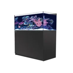 Best RED SEA Aquarium eau de mer avec un meuble coloris noir Reefer™ XL 425 - 120 x 57,5 x 142 cm