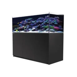 Hot RED SEA Aquarium eau de mer avec un meuble coloris noir Reefer™ XL 525 - 150 x 57,5 x 142 cm