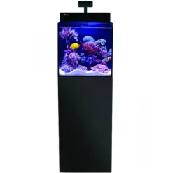 Hot BLUE CORAL Aquarium marin cube noir, meuble inclus - RED SEA AQUARIUM Max Nano G2