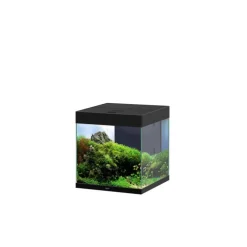 Sale CIANO Aquarium équipé Emotions Pro 40 noir 52 L - 40 x 40 x 43 cm