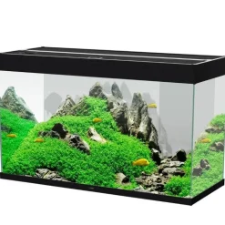 New CIANO Aquarium équipé Émotions Pro 100 noir - 201 L