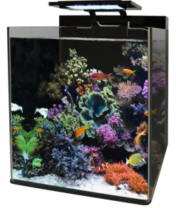 Online BLUE MARINE Aquarium reef 90