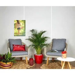 New Areca lutescens et son pot Classico premium Ø 35 rouge