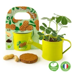 Discount RADIS ET CAPUCINE Arrosoir en zinc vert avec graines de cacahuètes