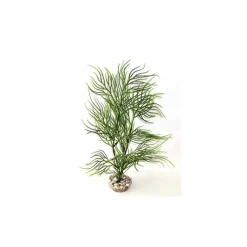 Online LABEO Asparagus vert en plastique 33 cm