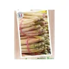 Best Asperge Verte Voltaire Bio. Le filet de 12 griffes