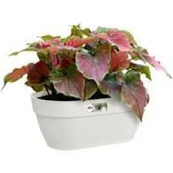 Sale ELHO Bac mural en plastique recyclé blanc Soie Vibia Campana - 35 x 16,2 x 14,8 cm