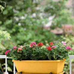 Clearance ELHO Balconnière en polypropylène jaune miel Barcelona - 69,8 x 19 x 16 cm