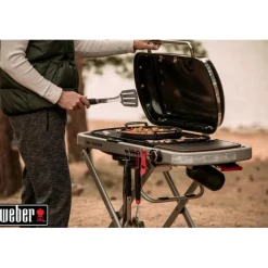 Best WEBER Barbecue à gaz noir Traveler Stealth
