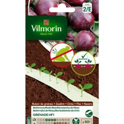 Hot VILMORIN Betterave Grenade H F1 - Ruban de graines à semer