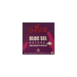 Outlet GASCO Bloc sel nature 900 g