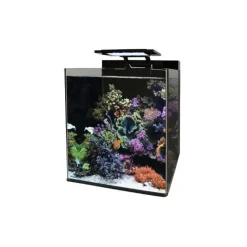 BLUE MARINE Bm Aquarium eau de mer Reef 60 35x45x40 cm