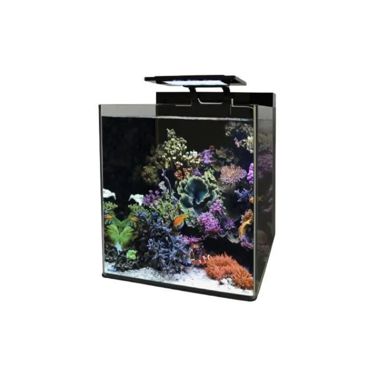BLUE MARINE Bm Aquarium eau de mer Reef 60 35x45x40 cm
