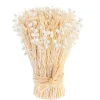 New Botte boutons de fleurs séchées coloris beige naturel - 14 x 14 x 20 cm