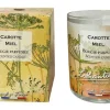 LOTHANTIQUE Bougie Jardin d'aquarelles Carotte miel – 160 g