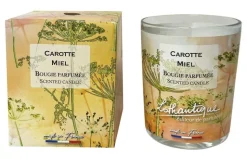 LOTHANTIQUE Bougie Jardin d'aquarelles Carotte miel – 160 g