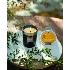 New ESTEBAN PARIS Bougie parfumée rechargeable Initiale Ambre Esteban - 180 g