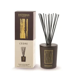 Clearance ESTEBAN PARIS Bouquet parfumé déco et sa recharge Cèdre Esteban - 100 ml