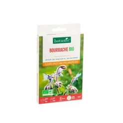 Outlet BOTANIC® Bourrache bio - graines à semer (3 m²)