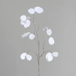 Outlet Branche de lunaire blanche - 84 cm