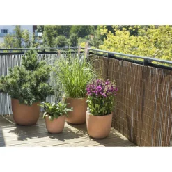 Discount BOTANIC® Brise vue en osier chinois 300 x 150 cm