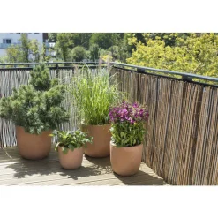 Best BOTANIC® Brise vue en osier fendu 300 x 150 cm