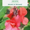 BOTANIC® Bulbe de fleurs Canna Louis Cayeux - 1 bulbe