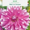 Online BOTANIC® Bulbe de fleurs Dalhia cactus Ballade - 1 bulbe