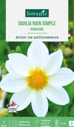 Clearance BOTANIC® Bulbe de fleurs Dalhia nain simple Innocence - 1 bulbe