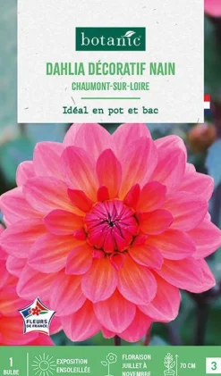 Online BOTANIC® Bulbe de fleurs Dalhia nain double Chaumont sur Loire - 1 bulbe