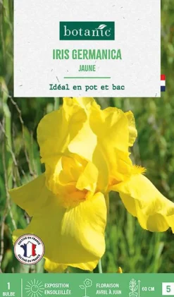 Hot BOTANIC® Bulbe de fleurs Iris Germanica jaune - 1 bulbe