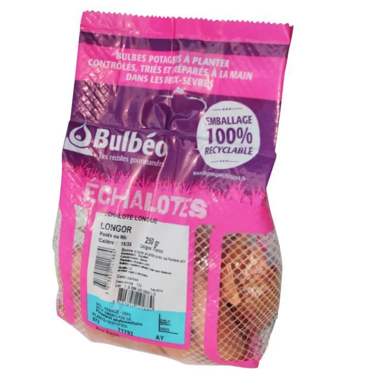 Outlet BOTANIC® Bulbes d’échalotes longue Longor calibre 15/35, 250 g