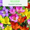 Hot BOTANIC® Bulbes de fleurs Freesia simple mix - 32 bulbes