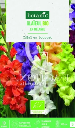 Online BOTANIC® Bulbes de fleurs Glaïeul grandes fleurs en mélange bio - 10 bulbes