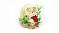 Sale AQUATLANTIS Bulleur crâne langue pendue coloris multicolore en résine - 12,5 x 14 x 11,5 cm