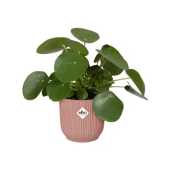 Clearance ELHO Cache pot rose poudré Vibes fold - Ø 22 cm
