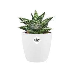 Sale ELHO Cache-pot Brussels rond mini Ø 12,5 x H 11,4 cm Polypropylène injecté