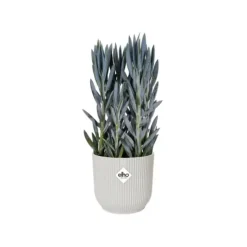 Online ELHO Cache-pot Vibes fold blanc - Ø 18 cm