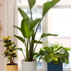 Online ELHO Cache-pot Vibes fold blanc - Ø 18 cm